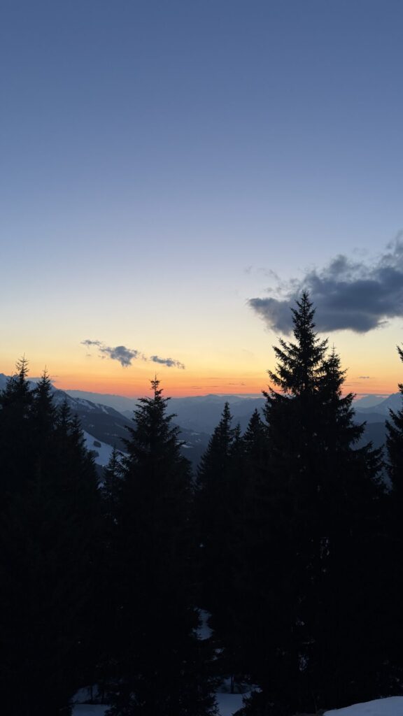 Zonsondergang achter dennenbomen